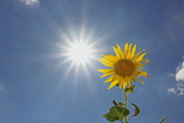 目元の老化防止「紫外線対策」